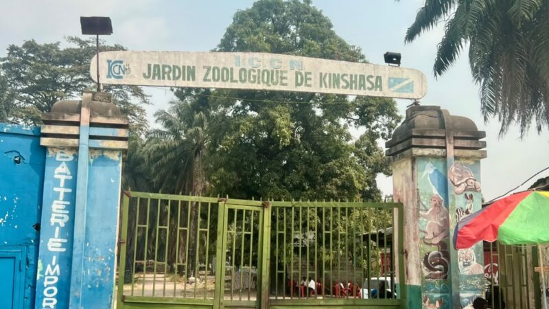 Conservation : Le Jardin zoologique de Kinshasa fait sa mue grâce au partenariat entre l’ICCN et Vantara