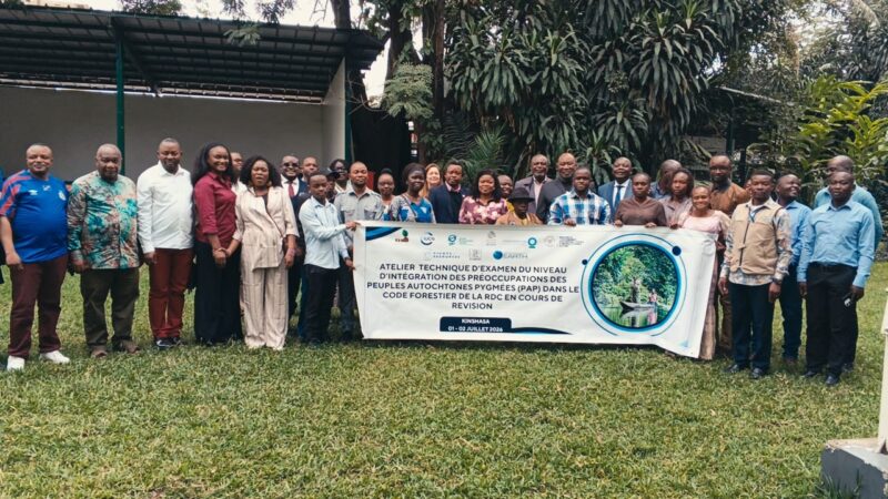 Forêt : Les communautés locales et autochtones de la RDC redéfinissent leur plaidoyer pour la révision du Code forestier