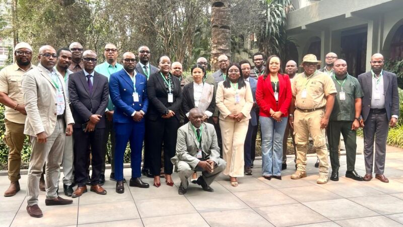 Biodiversité : Face aux risques du corridor de Lobito, la RDC et l&rsquo;Angola veulent sceller une alliance stratégique contre le trafic de faune et de bois