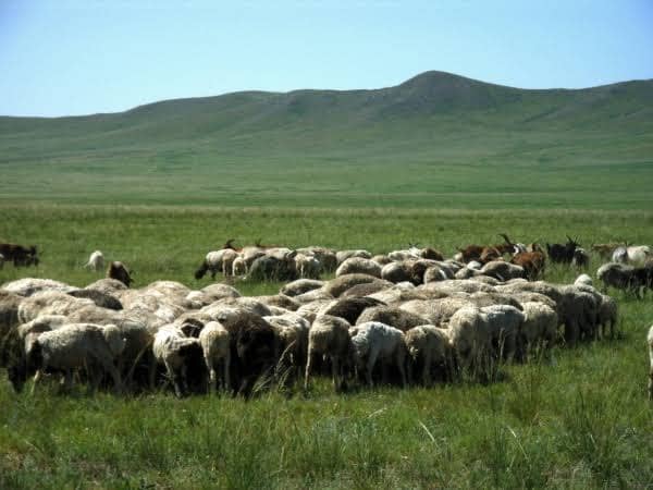 Climat : La Caravane de la Route de la Soie entre en Mongolie à l&rsquo;approche de la COP17 sur la désertification
