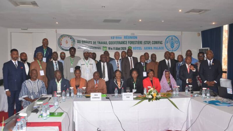 Gouvernance forestière en Afrique Centrale, les neuf pays de la COMIFAC resserrent les rangs à Douala