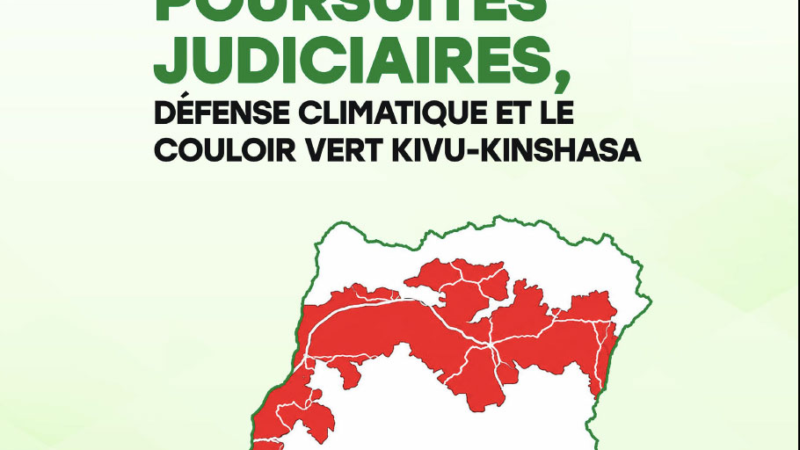 Forêt : L’ACEDH alerte sur la hausse des crimes contre les défenseurs de l’environnement dans le Couloir Vert Kivu-Kinshasa