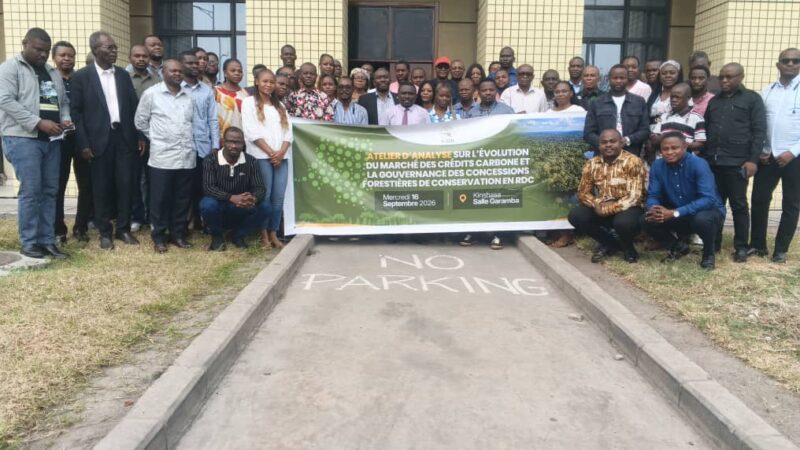 Gouvernance forestière en RDC, la société civile analyse le nouveau cadre légal du marché carbone et s&rsquo;inquiète pour les concessions de conservation