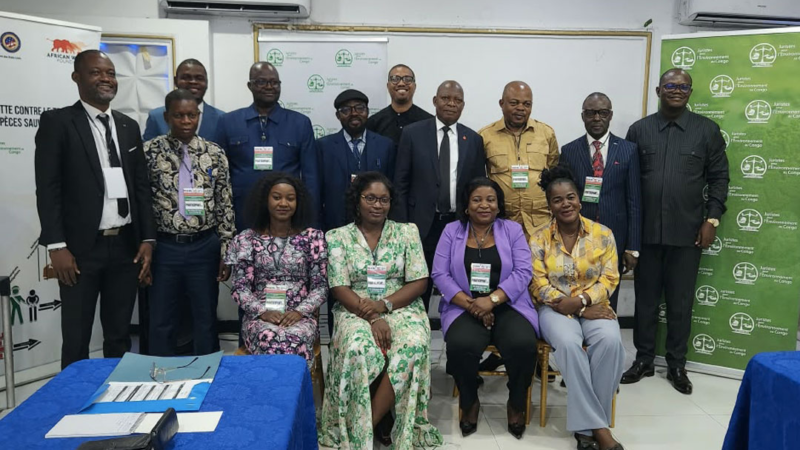 Biodiversité : Des juges et magistrats en formation en matière de criminalité faunique en RDC