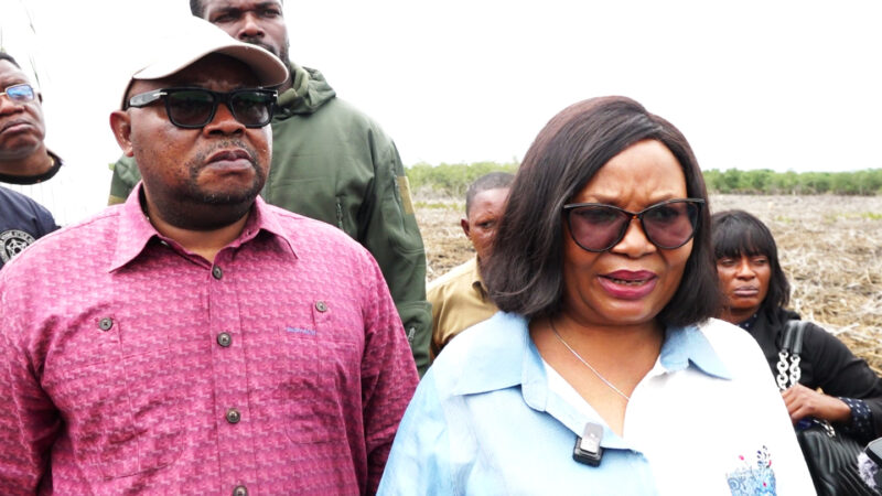 Conservation : Marie Nyange Ndambo hausse le ton face à la spoliation du Parc Marin des mangroves de Muanda