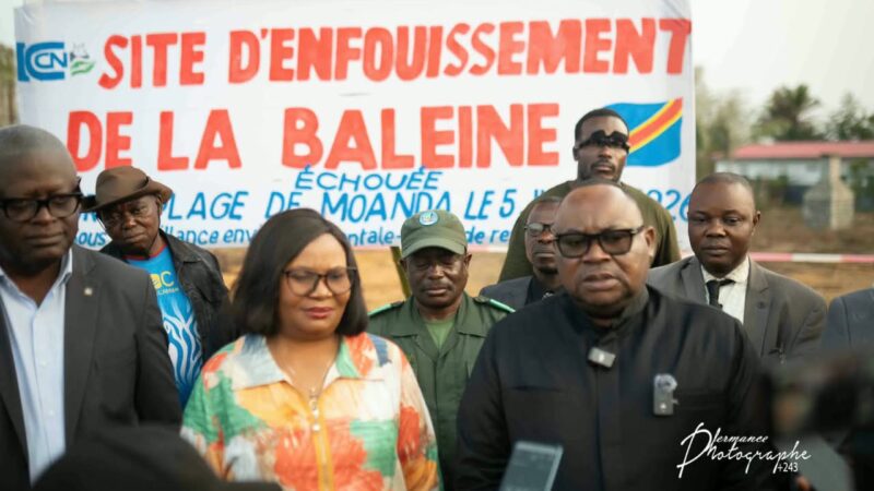 Les restes de la baleine de Muanda au cœur d’un ambitieux projet scientifique et touristique