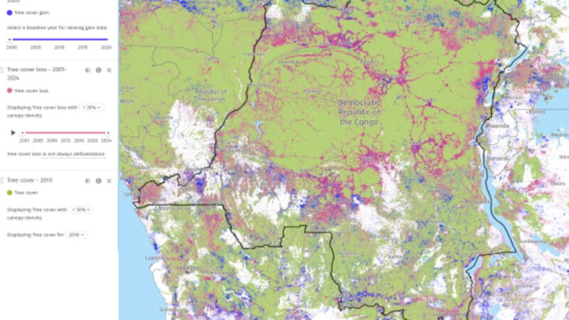 Forêt : En 10 ans, la RDC a perdu environ  13 millions d&rsquo;hectares de forêt