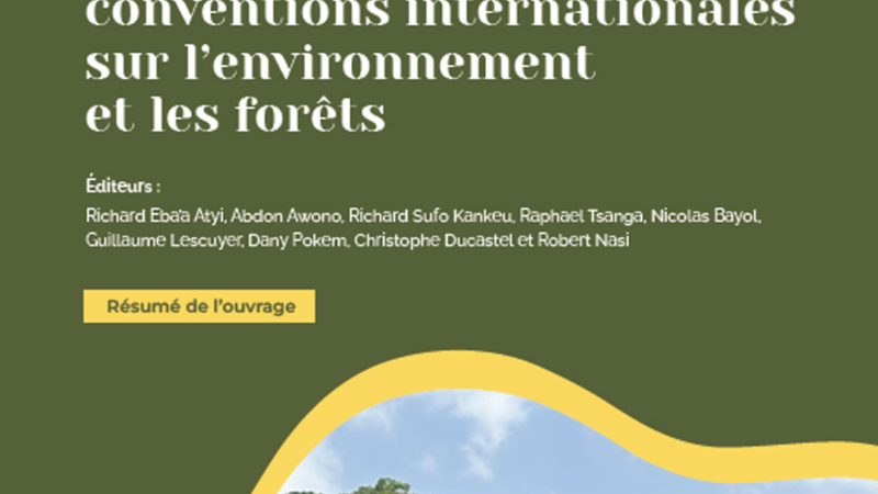 Le rapport sur l’état des forêts du bassin du Congo 2025 relève le défi d’une gouvernance environnementale effective